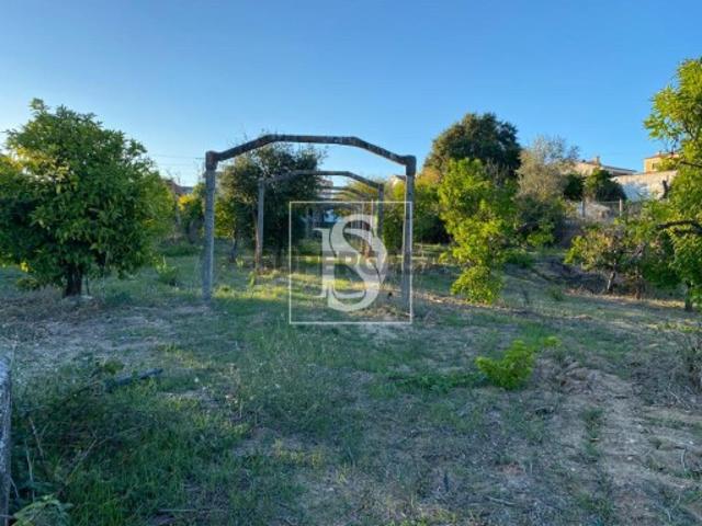 Terreno Venda em Santarém Marvila, Santa Iria da Ribeira de Santarém, Santarém São Salvador e Santarém São Nicolau,Santarém