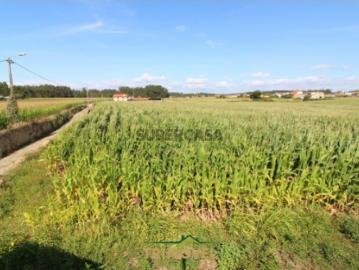 Terreno Venda em Válega,Ovar