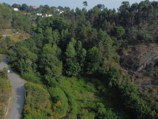 Terreno Misto Venda em Vila Meã,Amarante