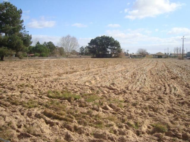 Terreno Venda Industrial