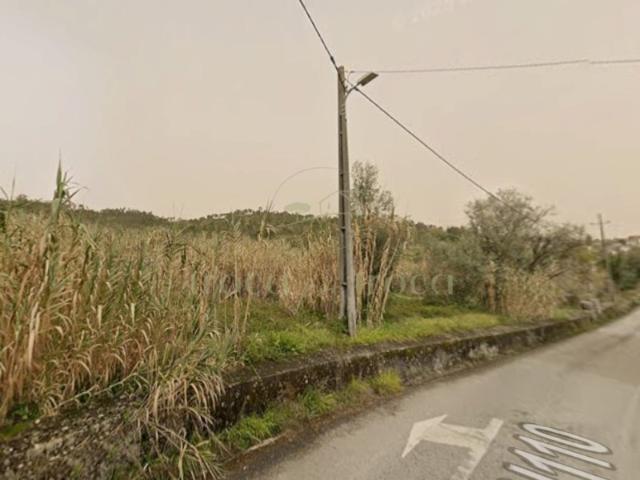 TERRENO VENDA PORTELA GATO 12.250 M2