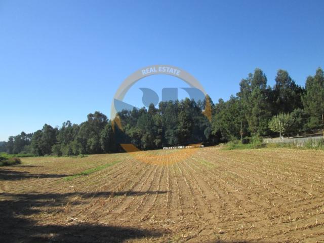 Terreno Venda São Vicente Pereira