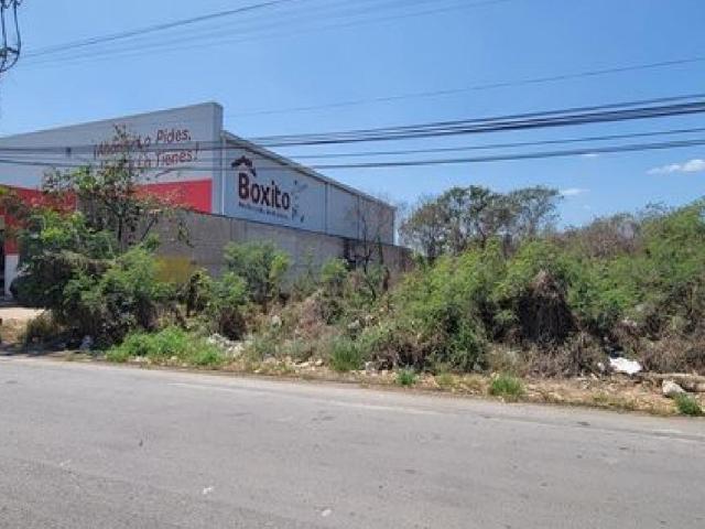 Terreno Venta M?rida Sur, Yucat?n