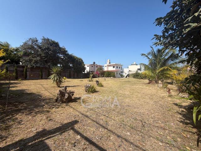 TERRENO VENTA O RENTA EN LA CALZADA