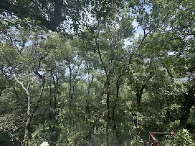 TERRENO VENTA OLINALA