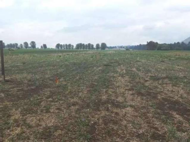 Terreno venta Amecameca de juarez