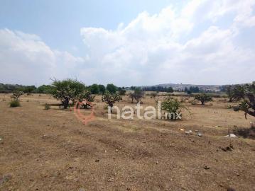 TERRENO VENTA arenillas SAN FRANCISCO TOTIMEHUACAN PUEBLA