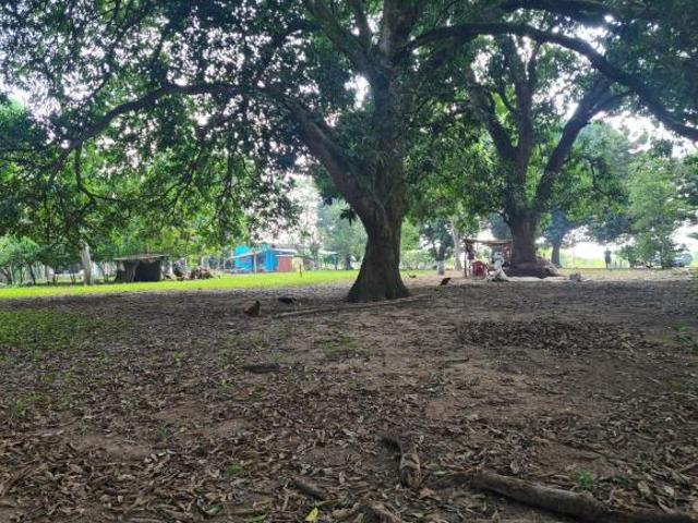 TERRENO VENTA, CHINAMECA. VER. CARR. TRANSÍSMICA COATZA ACAYUCAN. ATENC. INVI. IDEAL DESARROLLO HAB