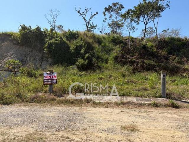 TERRENO VENTA, COL. JARDINES