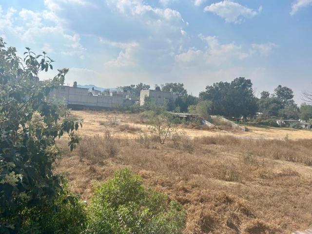 Terreno Venta de Carpio