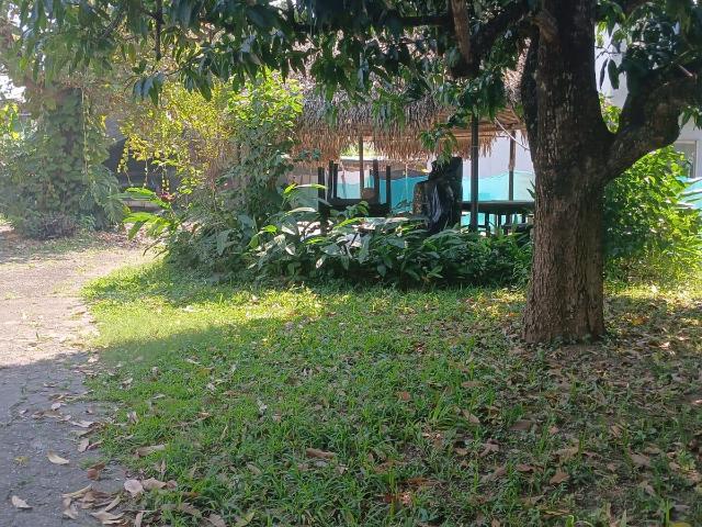 Terreno Venta De Terreno En Zona Centro En Tuxtepec Oaxaca