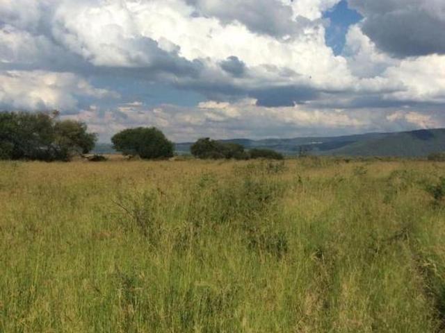 TERRENO VENTA EL MONTE CENTRO VILLA CORONA JALISCO