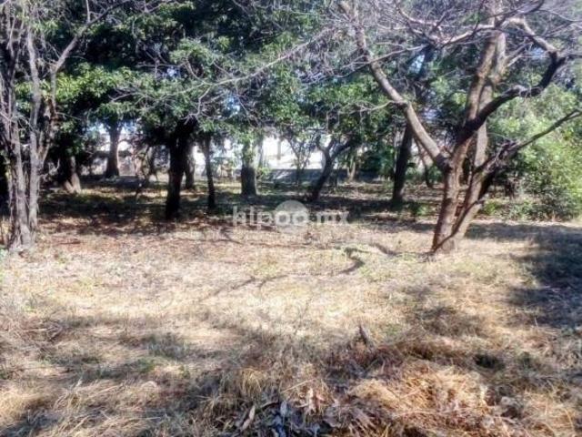 Terreno Venta en EMILIANO ZAPATA, Cuautla Morelos