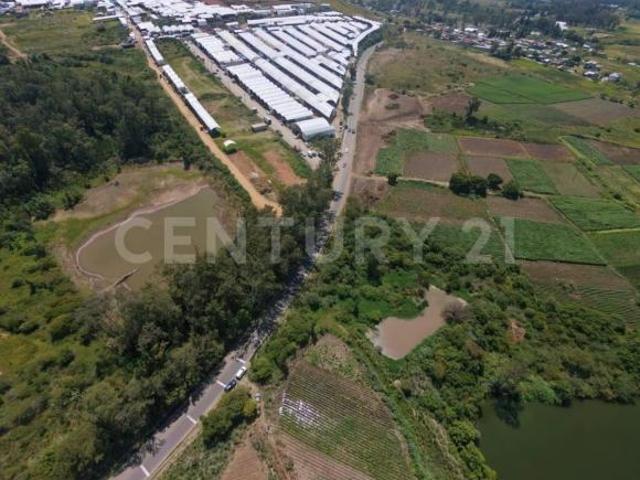 TERRENO VENTA EN LA AUTOPISTA TENANGO IXTAPAN, VILLA GUERRERO, EDO. DE MÉXICO