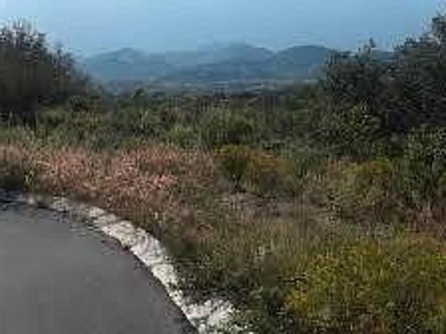 TERRENO VENTA EN LAS MISIONES, CARRETERA NACIONAL