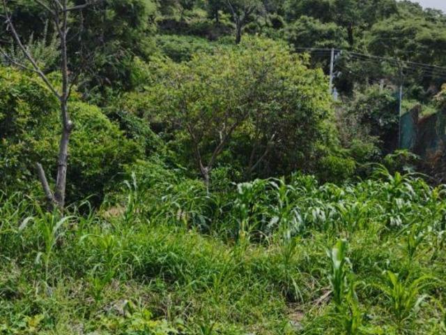 Terreno venta en Pueblo Mezcala, Poncitlan, Jalisco