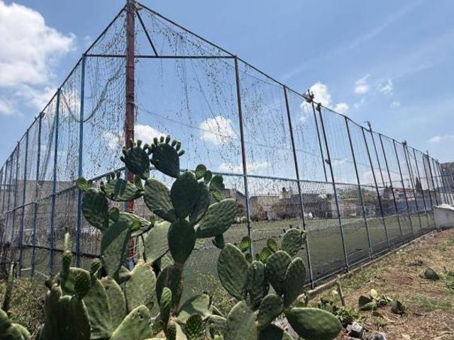 Terreno venta en San Francisco de Asis, Ecatepec de Morelos, Edo de Méx. 4