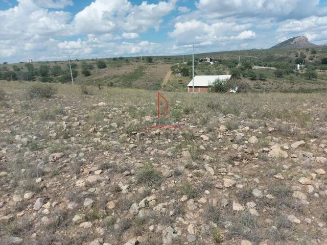 Terreno Venta Fracc. Las Moras Cd. Cuauhtémoc Chihuahua 900,000 olgagu RAO
