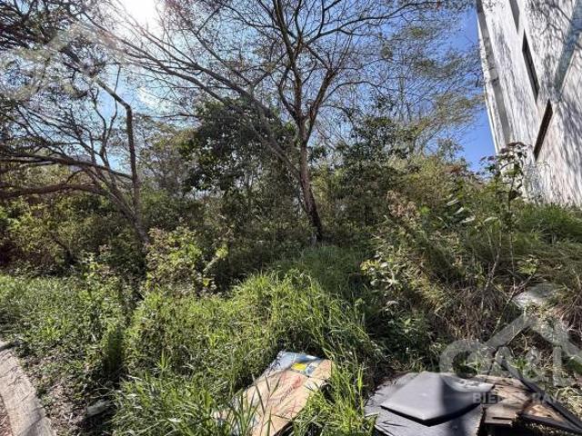 Terreno Venta Fraccionamiento La nueva Herradura Arco Sur