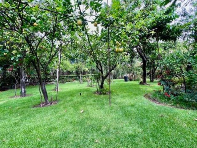 Terreno Venta Jocotán Zapopan Chivas Verde Valle 4014 Mts2 Mixto Barrial