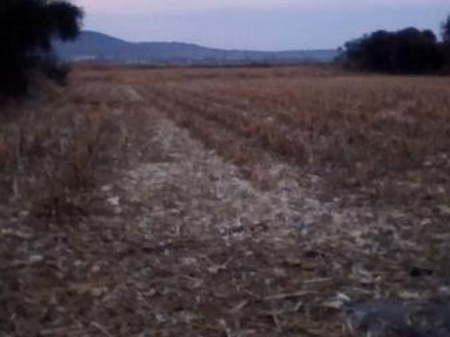 Terreno Venta Laguna de Cajititl?n $7,488,000 Artloz E1