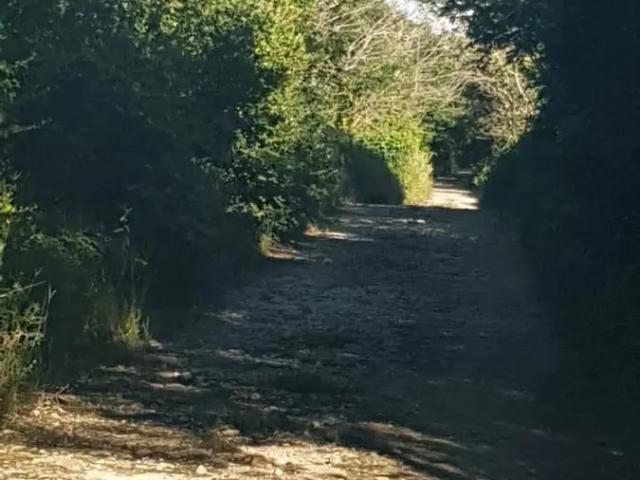 Terreno venta para siembra Mérida Hocabá, Yucatán