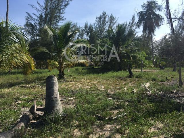 TERRENO VENTA PLAYA TUXPAN