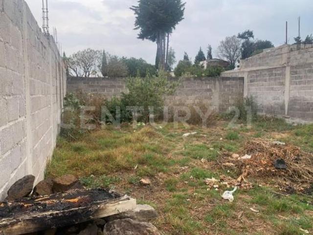 TERRENO VENTA PROLONGACION 5 DE MAYO DE BARTOLOME XICOMULCO 12250 MILPA ALTA