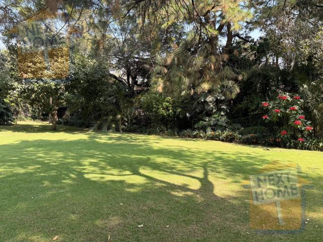 TERRENO VENTA SAN ANGEL