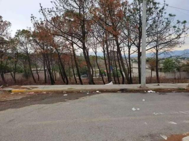 Terreno venta san francisco acuautla 800