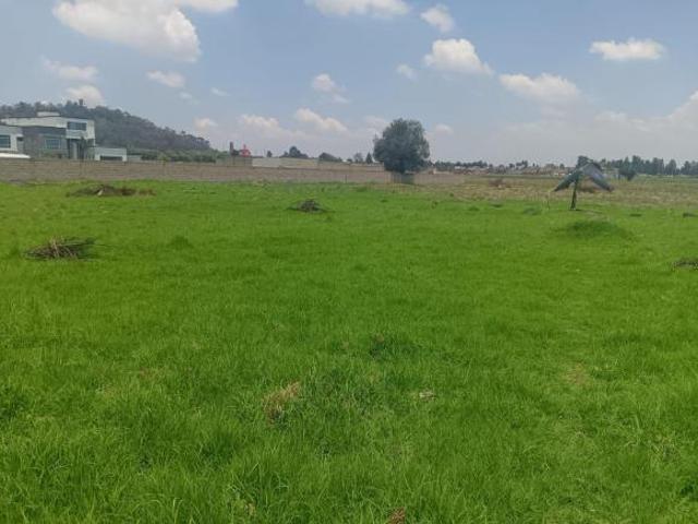 Terreno Venta San Lorenzo Coacalco Metepec