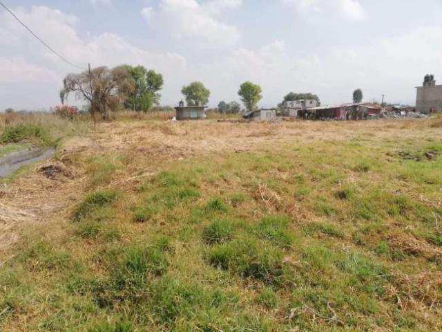 Terreno venta texcoco