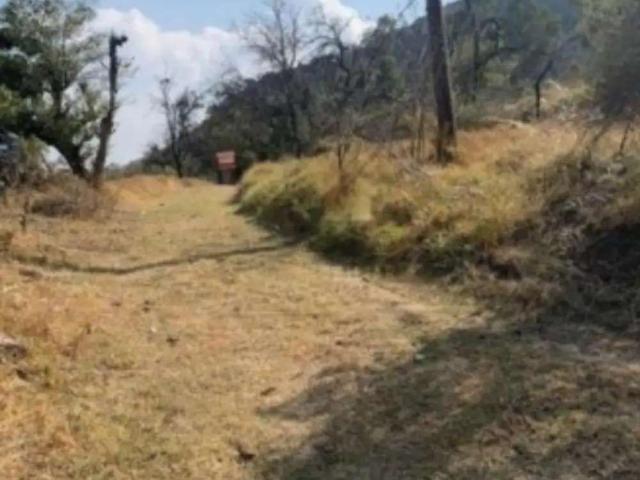 Terreno venta Texcoco