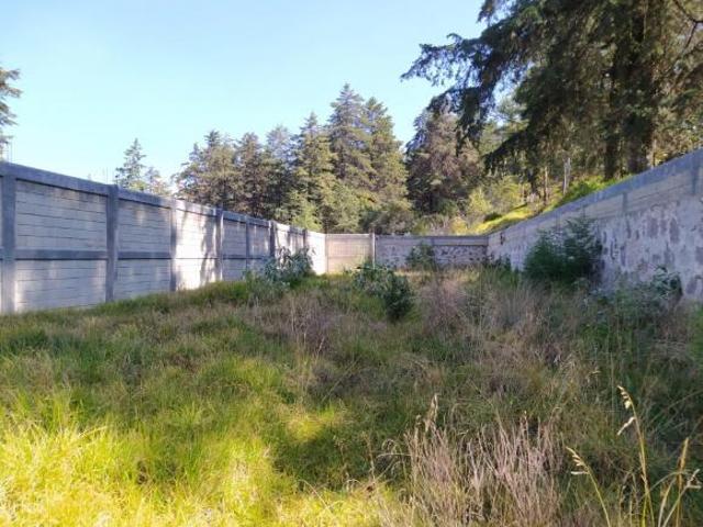 Terreno Venta Toluca, Rancho la Mora, Ejido 480mt
