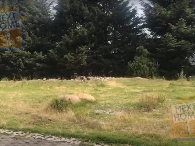 TERRENO VENTA XALPA ACOPILCO