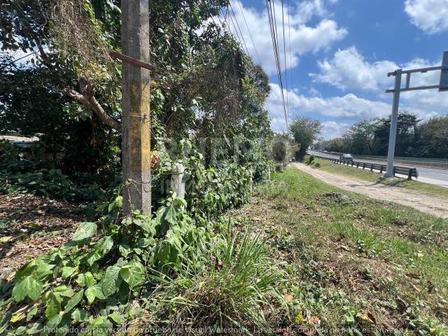Terreno Venta 1250m2 Sobre Carretera, Manlio Fabio Altamirano, Tuxpan, Ver