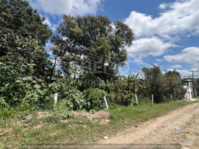 Terreno Venta 1250m2 Sobre Carretera, Manlio Fabio Altamirano, Tuxpan, Ver