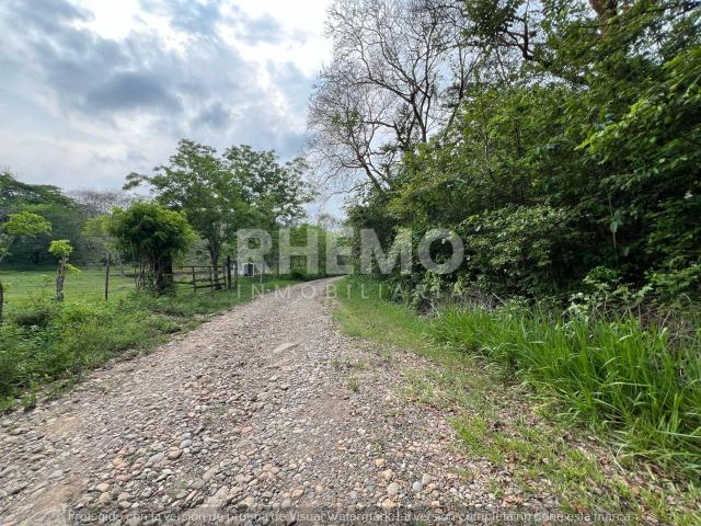 Terreno Venta 5000 m2 Cruz Naranjos, Tuxpan, Ver