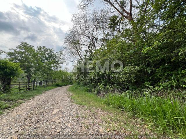 Terreno Venta 5000 m2 Cruz Naranjos, Tuxpan, Ver