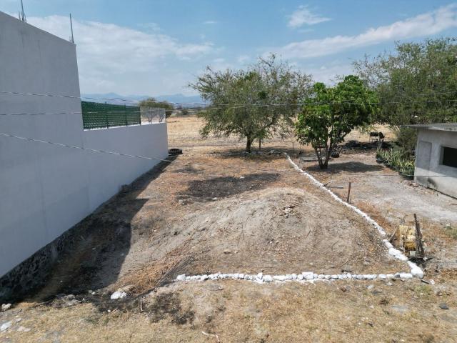 Terreno Vicente Guerrero