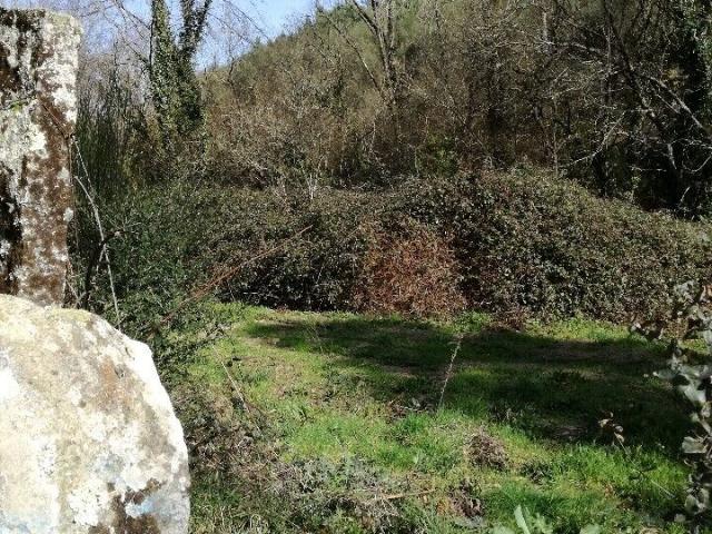 Terreno, Viana do Castelo, Monção