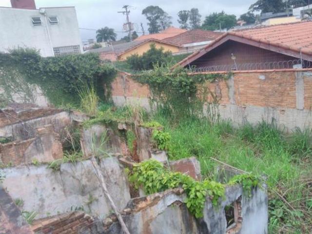 Terreno, Vila Albertina, São Paulo, SP