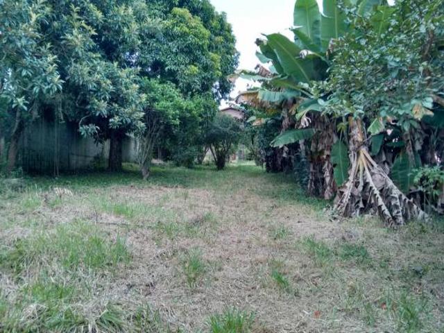 Terreno Vila Brasileira
