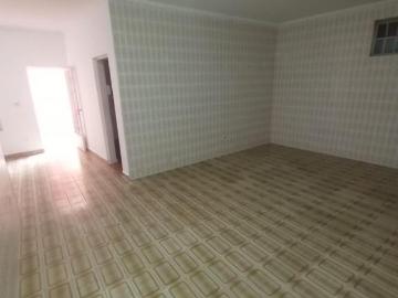 Terreno, Vila Guilhermina, São Paulo, SP