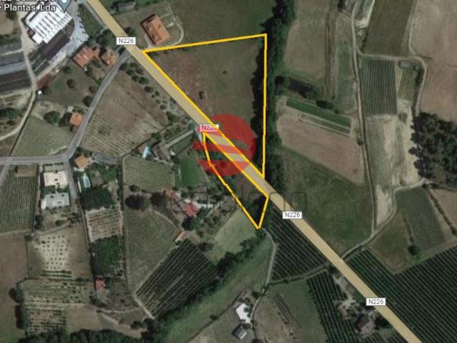 Terreno Vila da Rua
