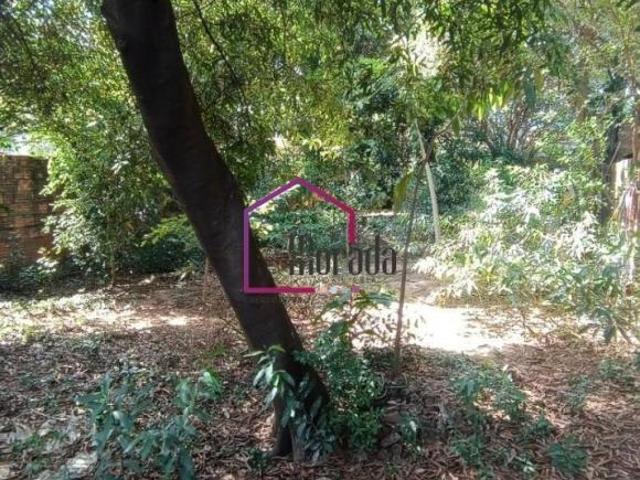 Terreno, Vila Motta, Catanduva, SP