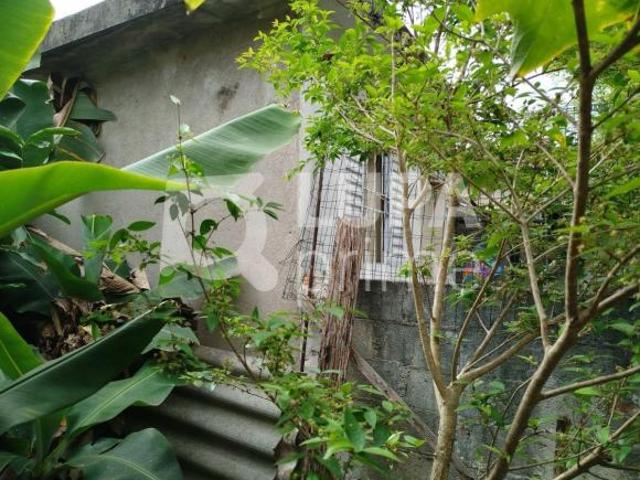 Terreno, Vila Mazzei São Paulo
