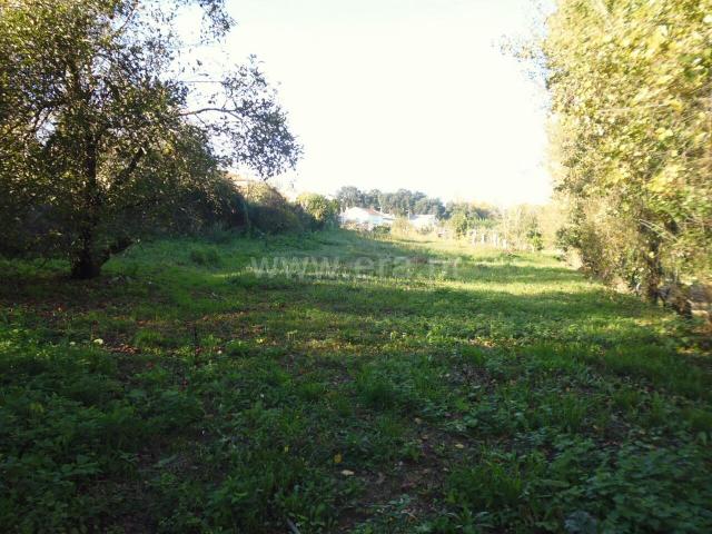 Terreno / Vila Nova de Gaia, Oliveira do Douro