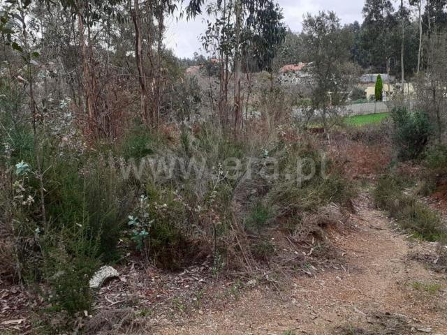Terreno / Vila Nova de Gaia, Sandim, Olival, Lever e Crestuma