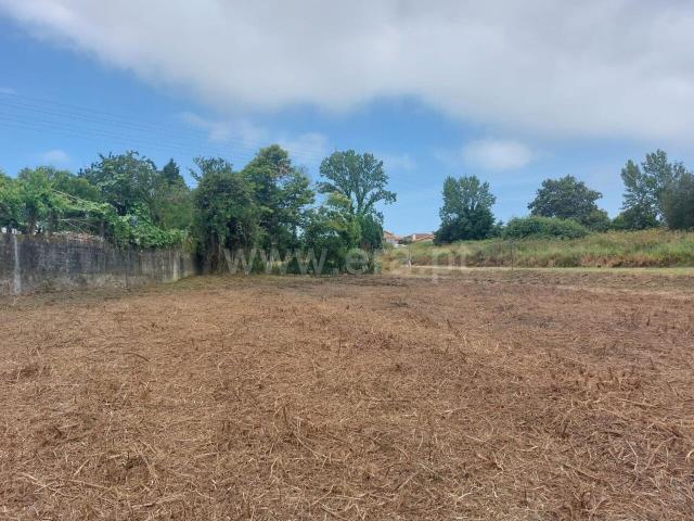Terreno / Vila Nova de Gaia, Sandim, Olival, Lever e Crestuma